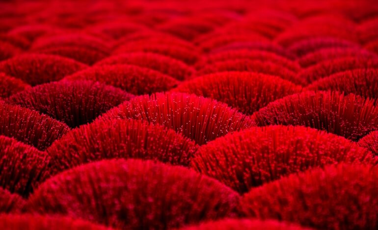 Celebrity red carpet looks decoded: the secrets behind the style