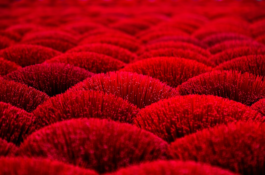 Celebrity red carpet looks decoded: the secrets behind the style