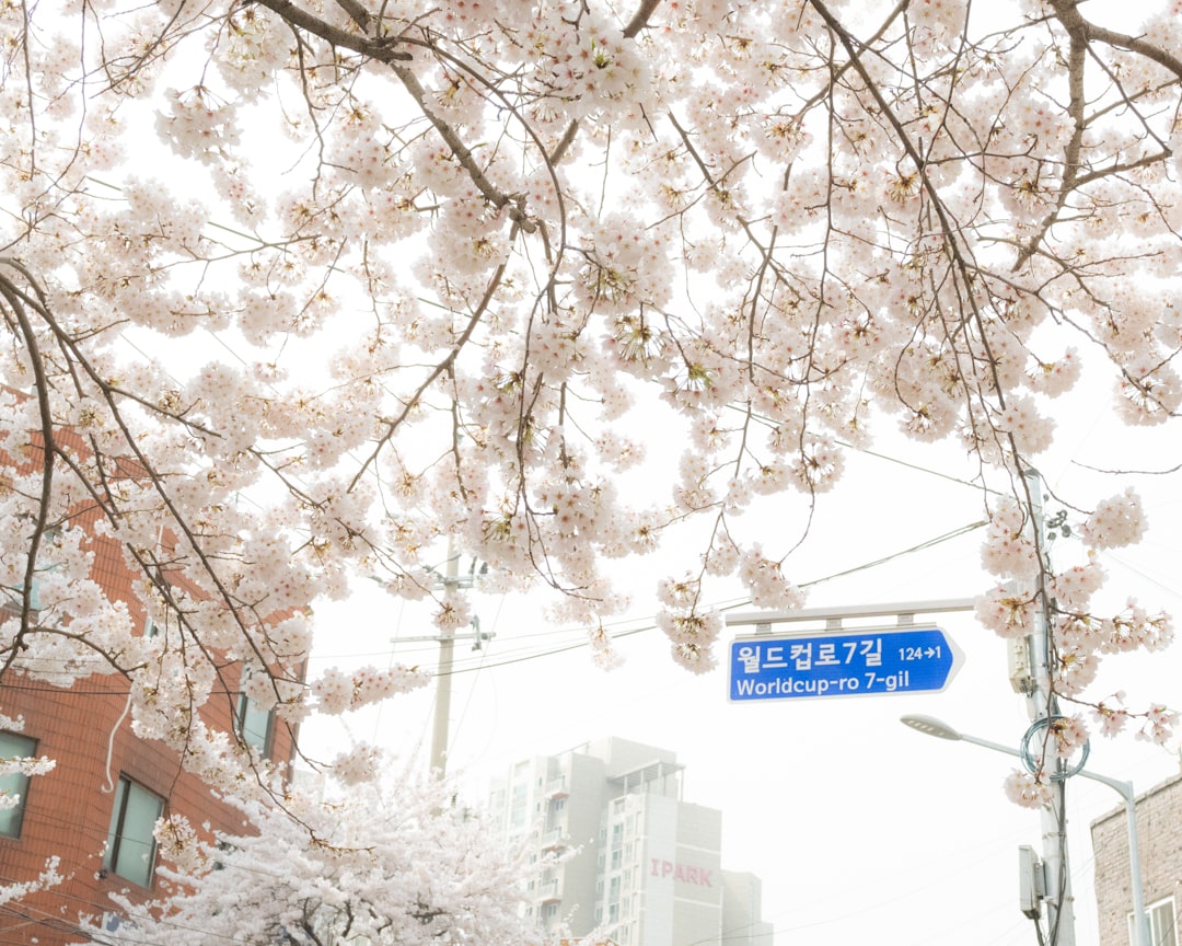 From runway to real life: the top winter–spring 2025 fashion trends to know now