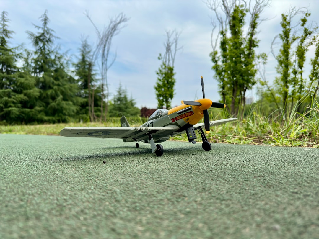 Spring/Summer 2025: Top runway trends to watch