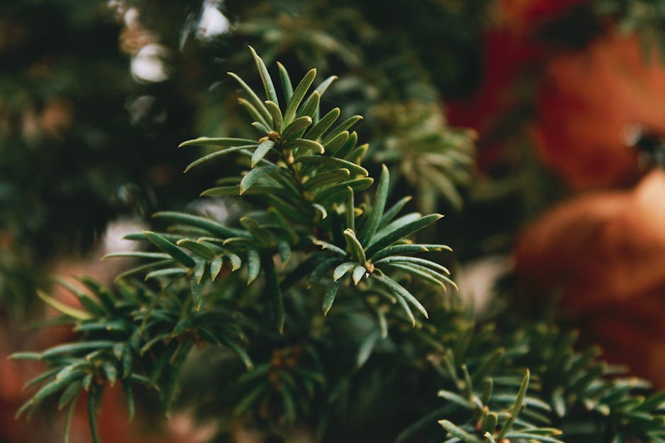 close-up texture eco-leather