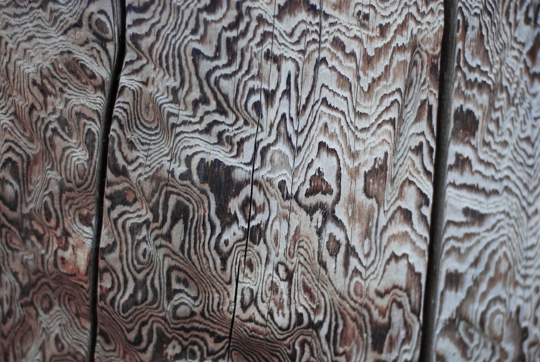 street style quilted vest