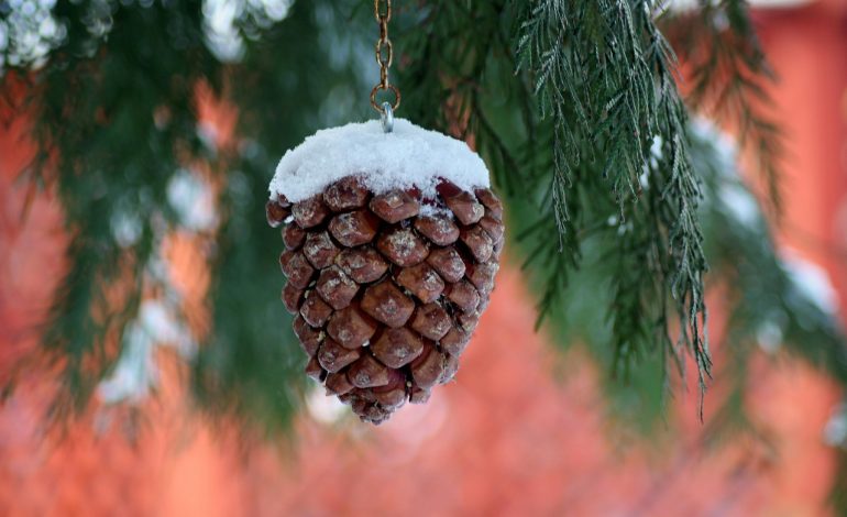 Top trending platform boots for January