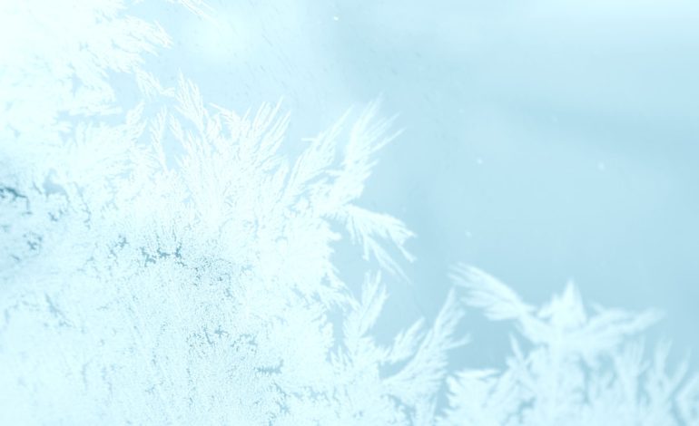 Trending: Winter aromatherapy essentials