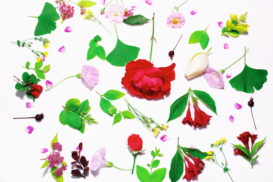 Fresh floral arrangement