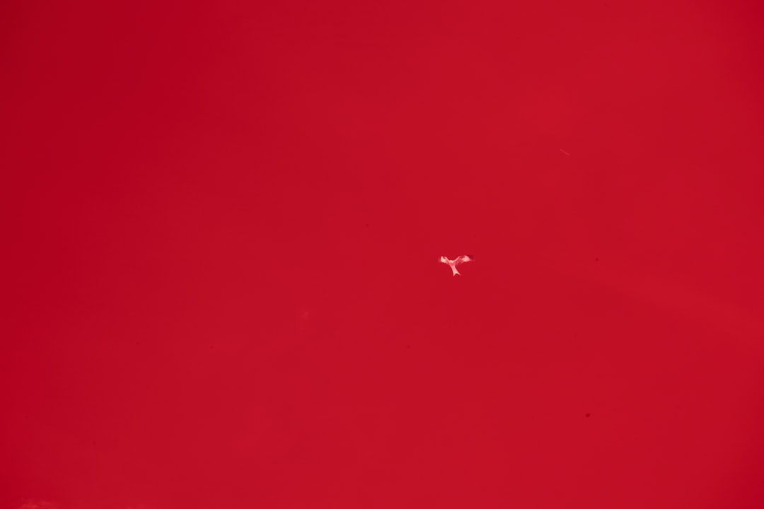 Red runway look Fall Winter 2025