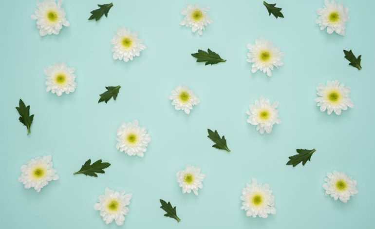 Balletcore spring outfit