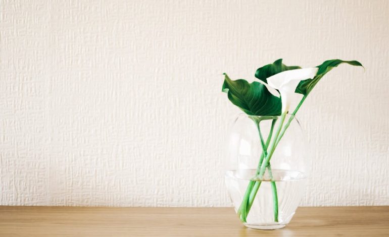 Spring’s Hottest Vibe: Mastering Sporty-Chic Outfits